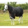 Premier Equine Titan 300g Turnout Rug With Detachable Neck Cover -Horse Gear Store premier equine titan 300g turnout rug rug 9