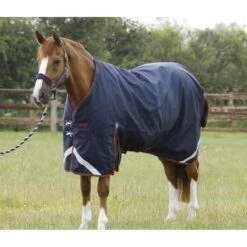 Premier Equine Titan 450g Turnout Rug With Detachable Neck -Horse Gear Store premier equine titan 450g turnout rugs pre order rug 10