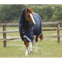 Premier Equine Titan 450g Turnout Rug With Detachable Neck -Horse Gear Store premier equine titan 450g turnout rugs pre order rug 12