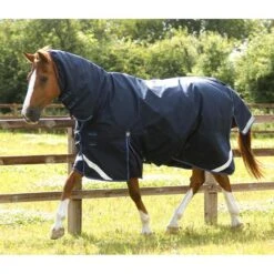 Premier Equine Titan Storm 200g Turnout Combo -Horse Gear Store premier equine titan storm 200g turnout rug pre order rug 10