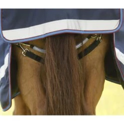 Premier Equine Titan Storm 200g Turnout Combo -Horse Gear Store premier equine titan storm 200g turnout rug pre order rug 3