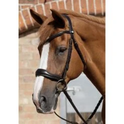 Premier Equine Verdura Anatomic Snaffle Bridle