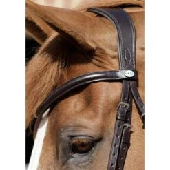 Premier Equine Verdura Anatomic Snaffle Bridle -Horse Gear Store premier equine verdura anatomic snaffle bridle bridle 3
