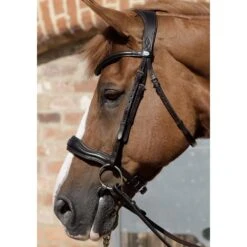 Premier Equine Verdura Anatomic Snaffle Bridle -Horse Gear Store premier equine verdura anatomic snaffle bridle bridle 4