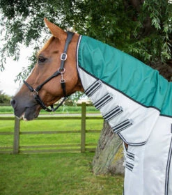 Premier Equine ShowerTex Fly Rug -Horse Gear Store showertex fly rug with surcingles 201950grn 737103 768x 034e9a1a 5b67 4472 a429 02e293b2d4f8