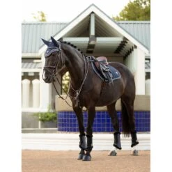 LeMieux Twilight Collection Classic Close Contact Square -Horse Gear Store tracyrobertson twilight2022 029