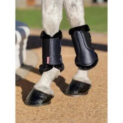 LeMieux Twilight Collection Fleece Edge Brushing Boots -Horse Gear Store tracyrobertson twilight2022 051