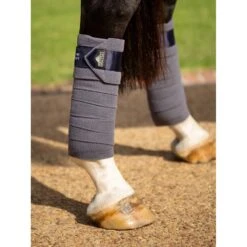 LeMieux Twilight Collection Polo Bandages -Horse Gear Store tracyrobertson twilight2022 079