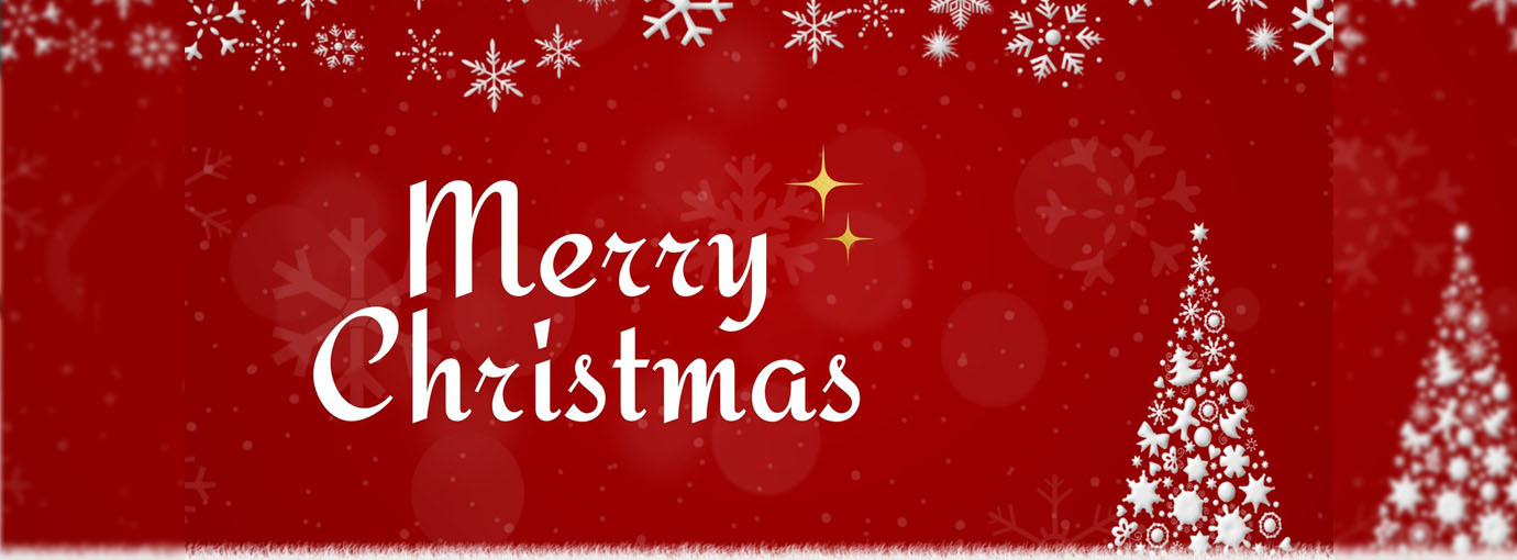 Horse Gear Store -Horse Gear Store 87